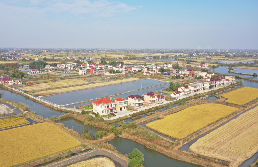 圖片4.png 圖片4.png