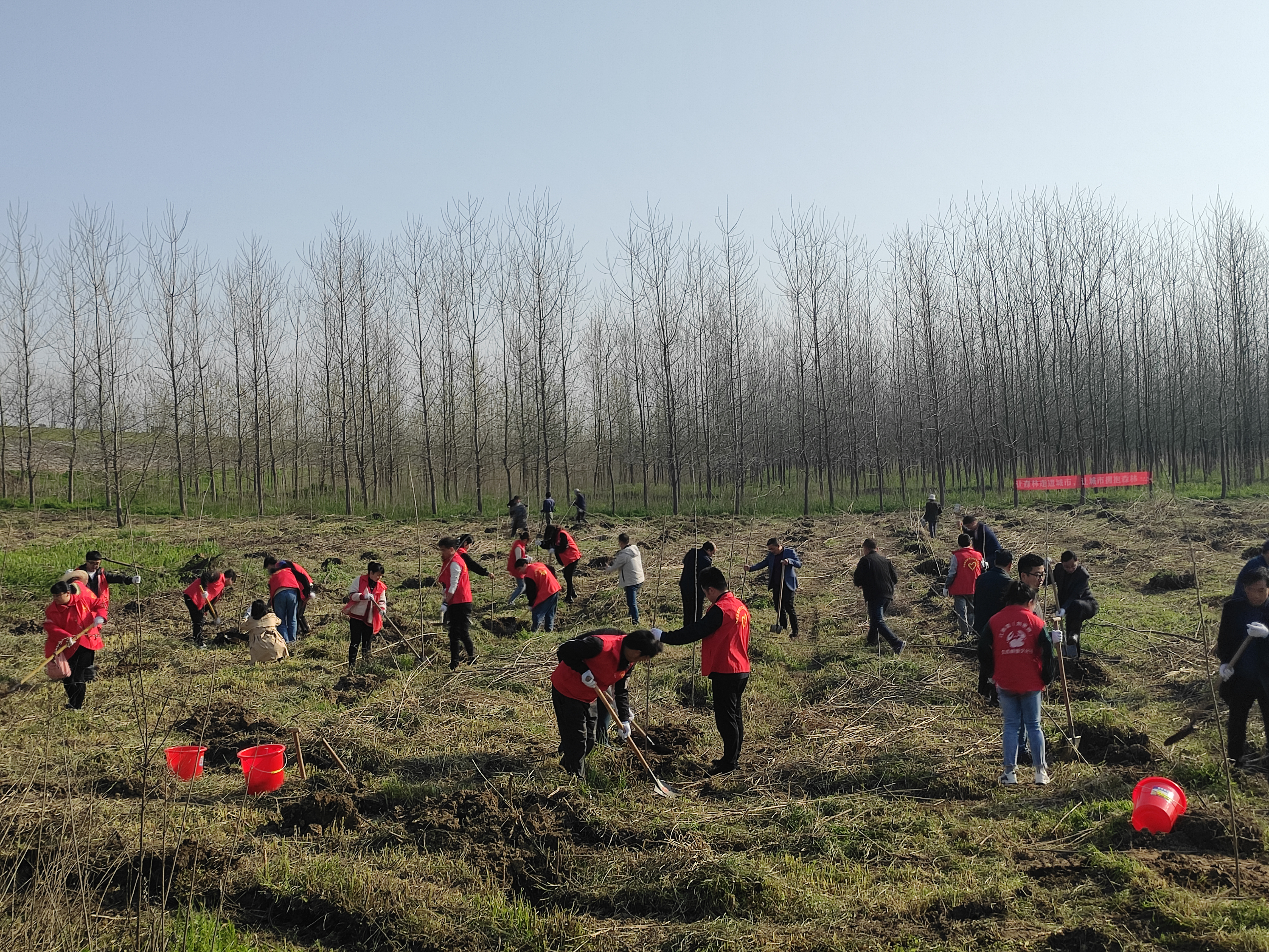 圖片1.png 圖片1.png