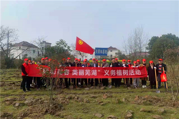 圖片3.png 圖片3.png