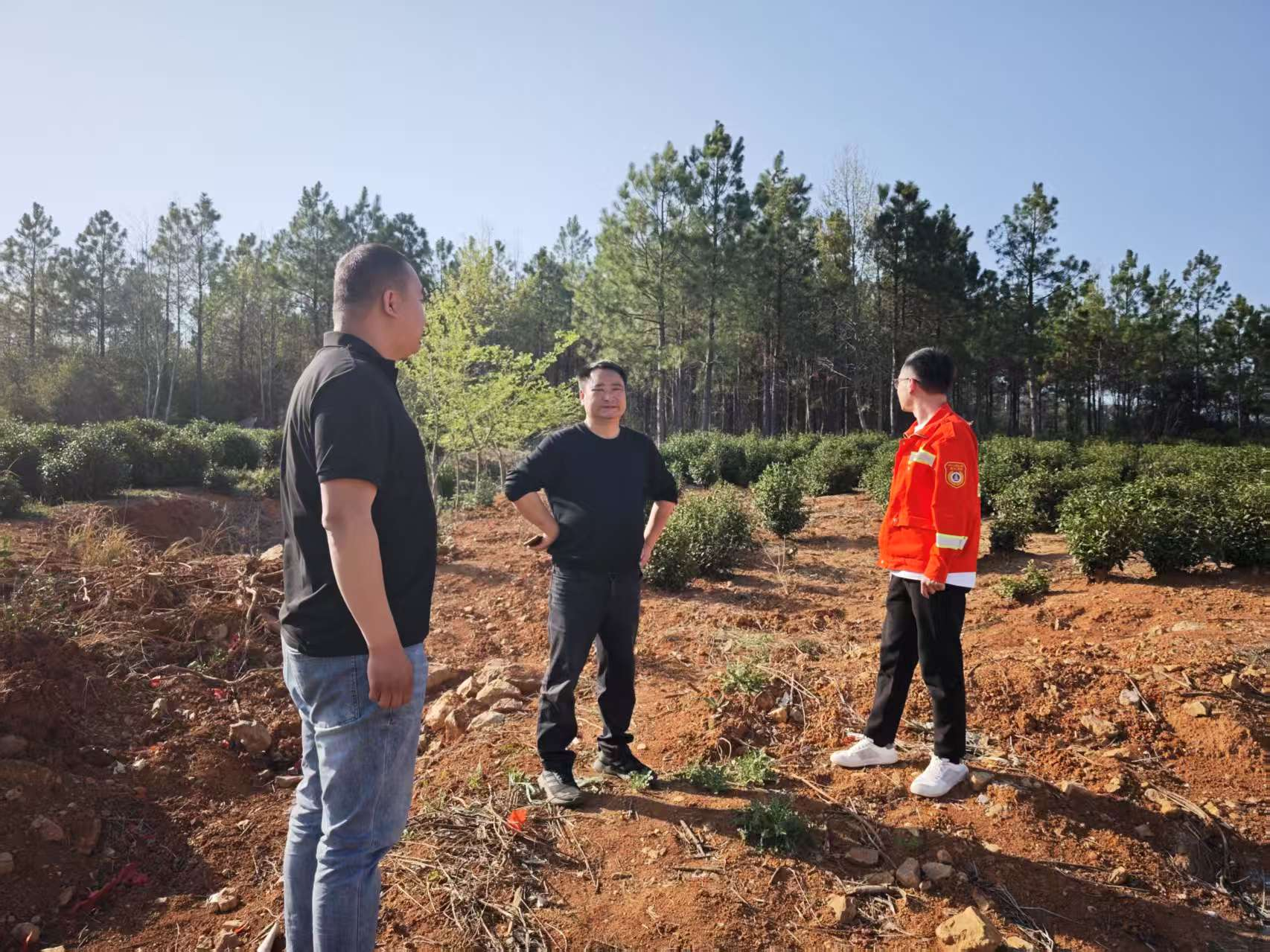 圖片11.png 圖片11.png