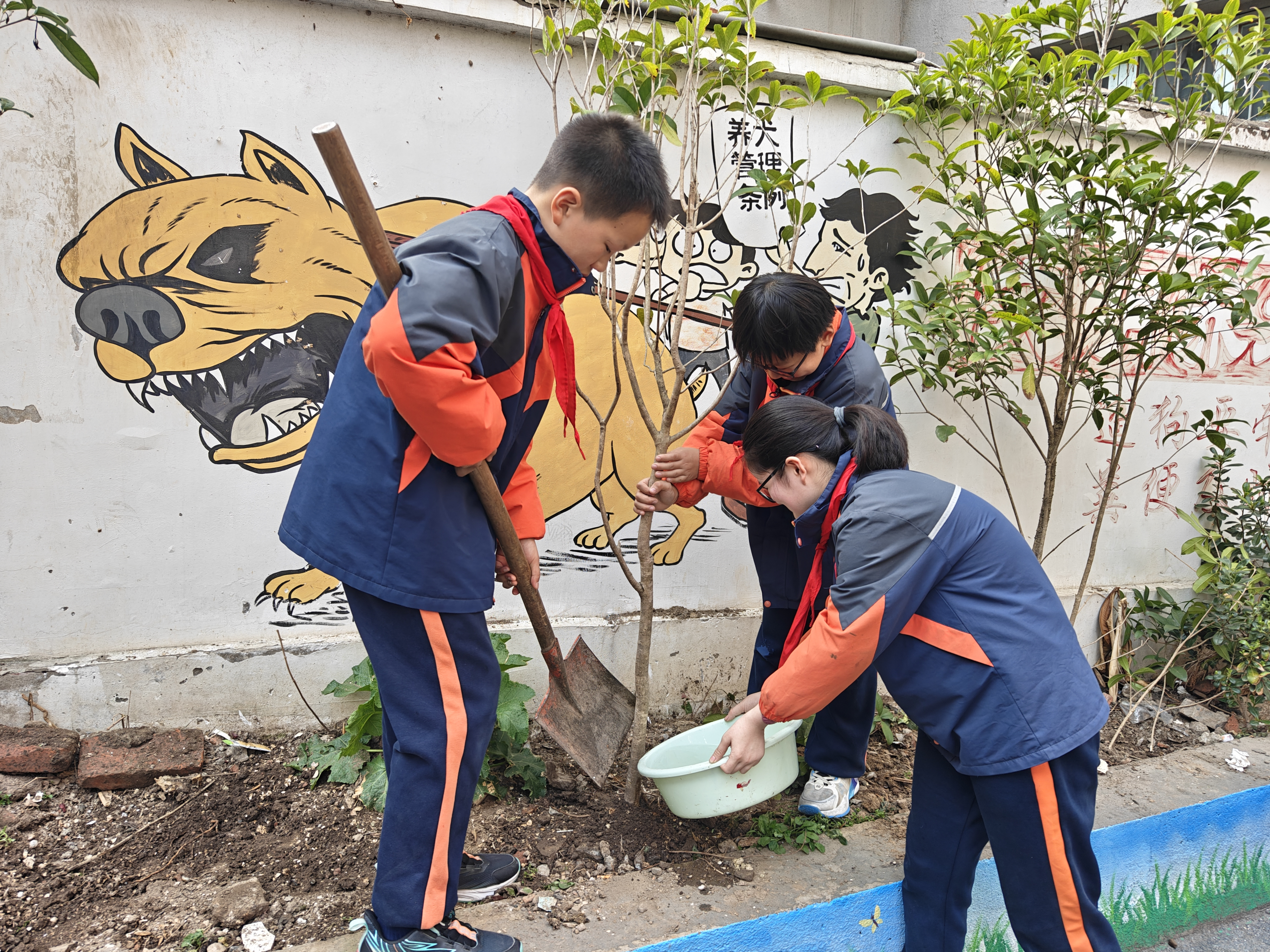 圖片24.png 圖片24.png