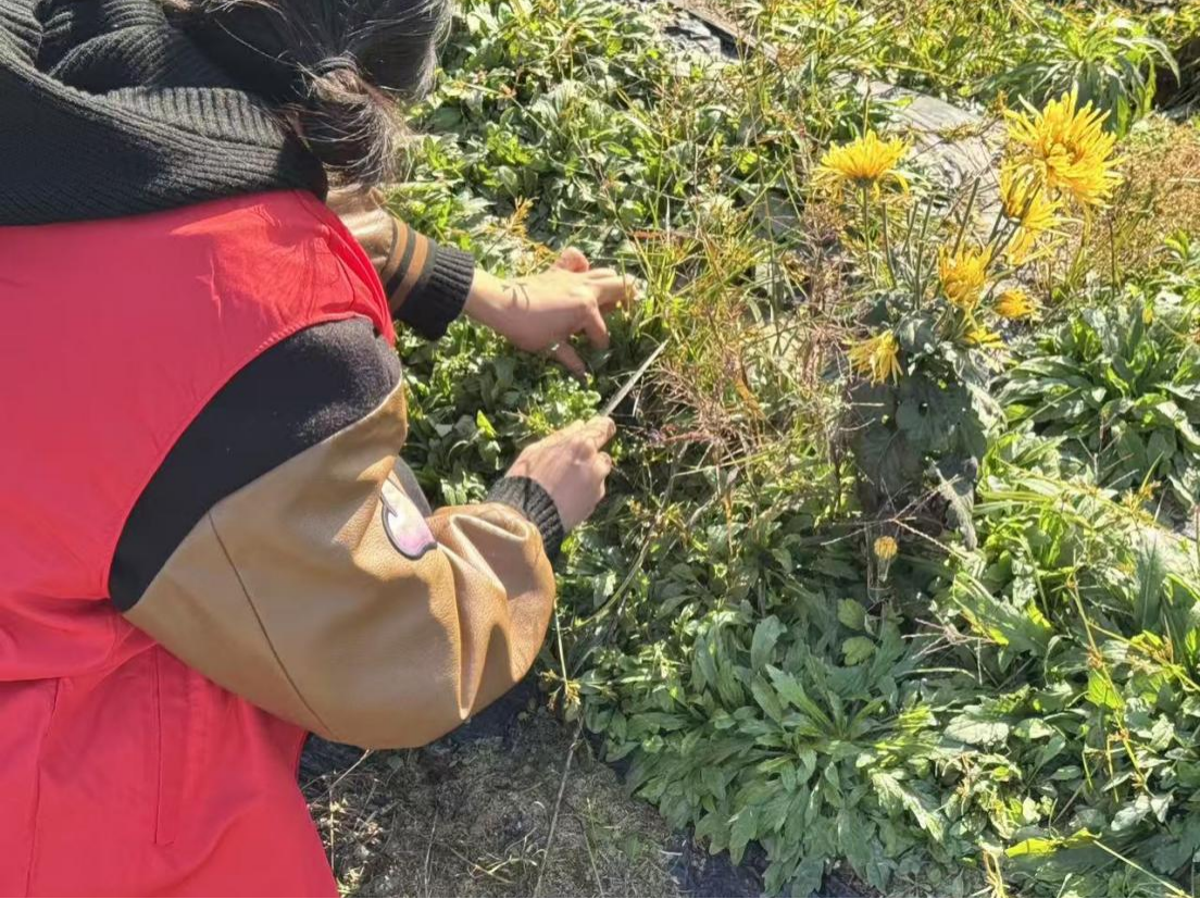 圖片1(1).png 圖片1(1).png