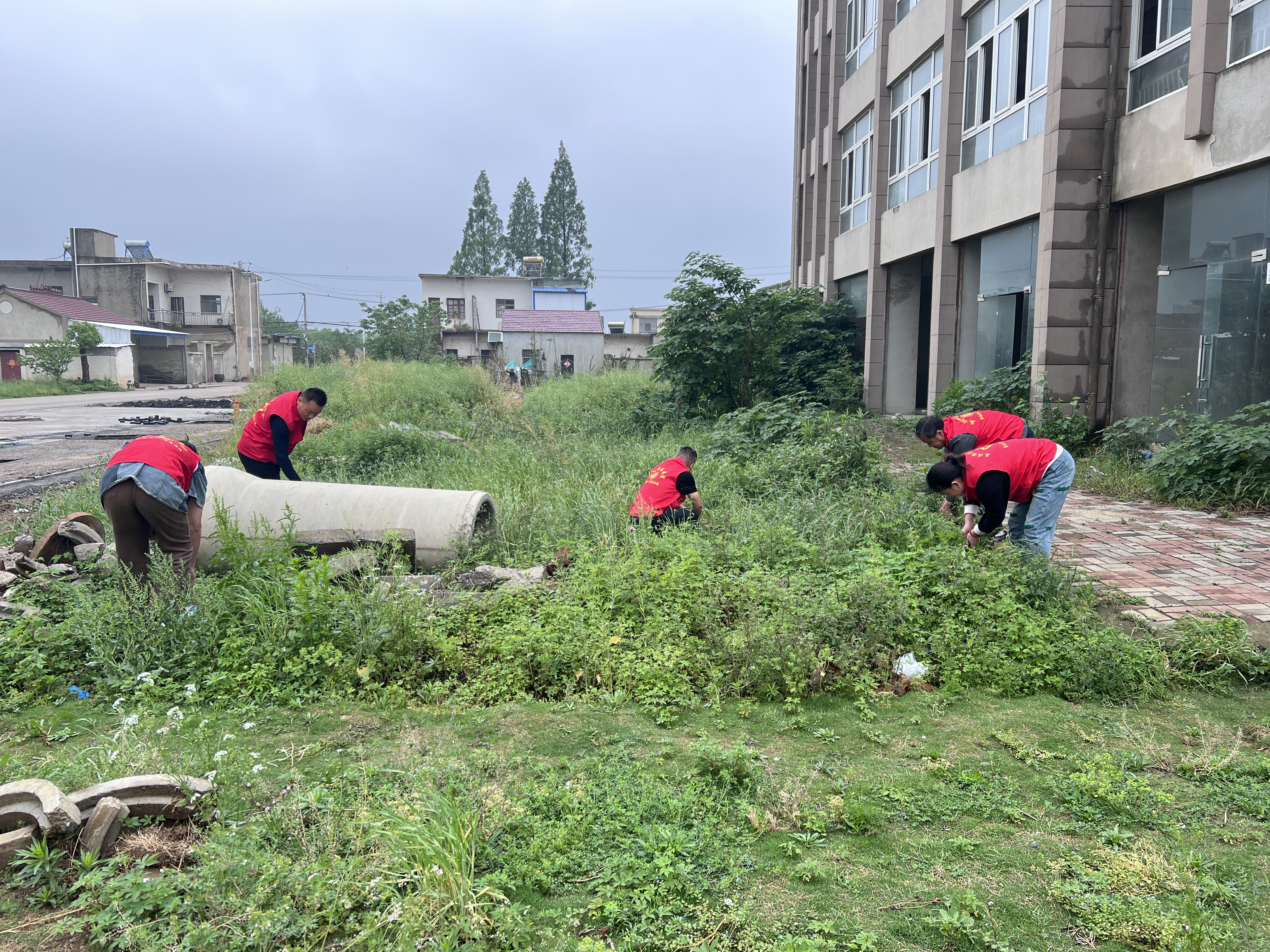 圖片1.png 圖片1.png